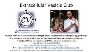 Milk EVs, epithelial barrier function, and immune modulation: Martijn van Herwijnen & Marca Wauben