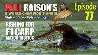 Tunnel Barn MATCH TACTICS For F1 Carp  | Will Raison Fishing