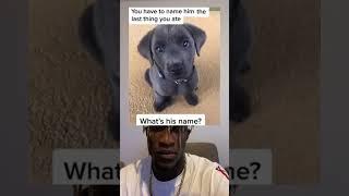 Please don’t say dog