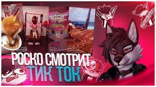  Роско кринжует с видео в TikTok | ПЫТАЕМСЯ НАСТРОИТЬ РЕКОМЕНДАЦИИ