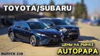 Обзор цен на Toyota и Subaru рынок AUTOPAPA. Мастер Вадя Грузия.#automobile #mastervadya #top #car