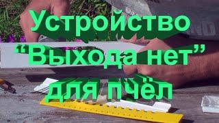 Изготовление пчелопринимателя. Пасека Сергея Буторина. 24 июля 2020г. 28 выпуск