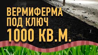 Вермиферма 1000 кв.м. Промышленное производство биогумуса, вермикомпоста. Обзор вермифермы.