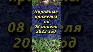 Народные приметы на 8 апреля 2023 года