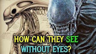 Xenomorph Detailed Anatomy Explored - How Can They See Without The Eyes? Self-Destruct Mechanism?