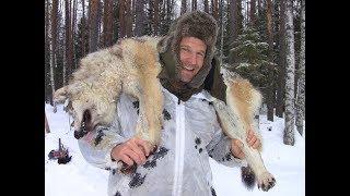 Охота на волков 2019 Winterjagd auf Wolf