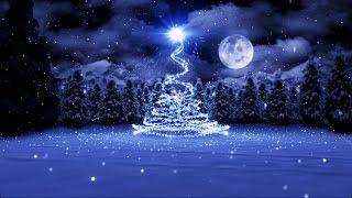 Animated Christmas Card Template - Christmas by Moonlight