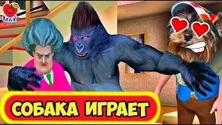 МАКС ВЛЮБИЛСЯ в Мисс ТИ! СОБАКА ИГРАЕТ! ( Обновление Miss T Scary Teacher) #14 Валеришка Макс