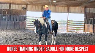 D/C Horse Training That Gains Respect