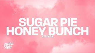 STRINGS - Sugar Pie Honey Bunch (Lyrics)