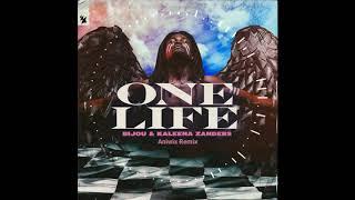 Bijou ft Kaleena Zanders - One Life (Aniwix Remix)