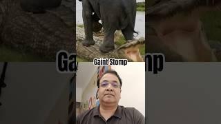 You Won’t Believe What This Elephant Did! #wildlife #animals #wildanimals #wildlifeplanet