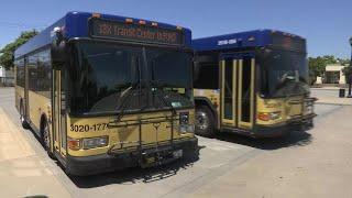 Santa Maria introduces new bus route, offering free fares on all routes for next two weeks