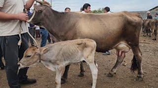 КУВА МОЛ БОЗОРИ, БОЗОР ШАМОЛИ прямой эфирда бозорни обзор килди .