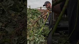How I tackled my BIGGEST garden transformation! #gardenproject