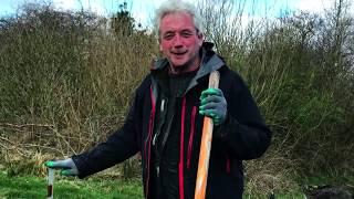 Making a (lazy) bed - a traditional Irish raised bed