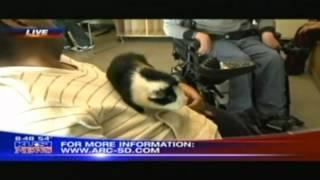 KUSI Good Morning San Diego- Toby Wells Animal & Nature Room
