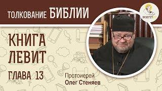 Книга Левит. Глава 13. Протоиерей Олег Стеняев. Библия. Ветхий Завет