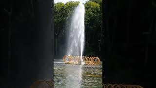 Beautiful Fountain #fountain  #youtubeshorts #shortsvideo #gardentricks