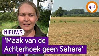 Maatregelen tegen genadeloze droogte in de Achterhoek