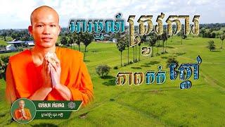 អារម្មណ៍ត្រូវការភាពកក់ក្ដៅ Feelings need warmth​​