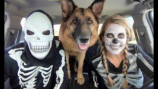 Skeleton Surprises T-Rex & Puppy with Car Ride Chase!