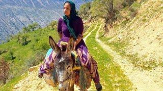 Village family: Village woman riding a donkey to fetch water