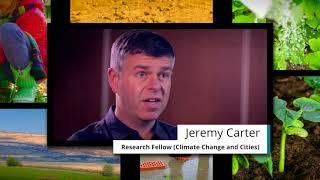 Manchester Urban Institute: Green and Resilient Urban Futures