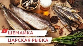 Шемайка-"царская рыбка"