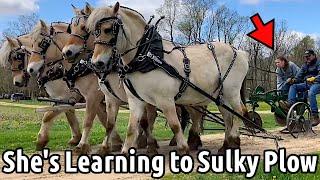 #farming She's Learning How To Sulky Plow