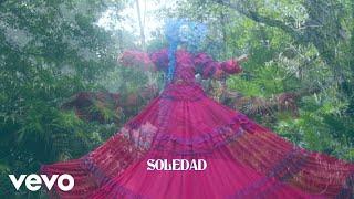 Bomba Estéreo - Soledad (Official Lyric Video)