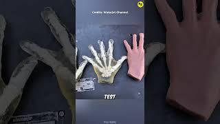 Can your Hand survive this pressure?