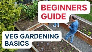 BEGINNER vegetable gardening guide -  3 EASY steps to get started veg gardening today
