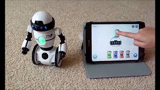 COMPLETE MIP TOY ROBOT REVIEW