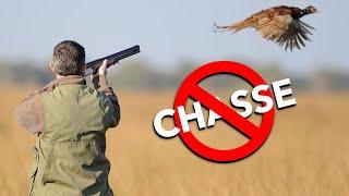 Pourquoi INTERDIRE la CHASSE ? - avec le naturaliste Pierre Rigaux