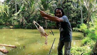 Terbaru!! Umpan baru untuk ikan yg susah makan