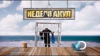 Еще больше о монстрах | Неделя акул | Discovery Channel