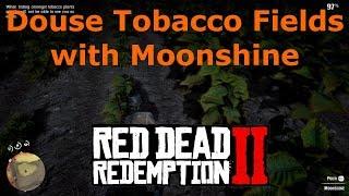 Douse the Tobacco Fields with Moonshine Undetected The Fine Joys of Tobacco Red Dead Redemption 2