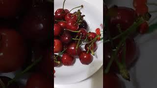 #redberry #berries  #viral #shorts #trending #ofwhongkong