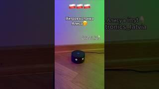 Как подключить колонку Алиса в Польше? Ответ смотри в Instagram: electronics_latvia