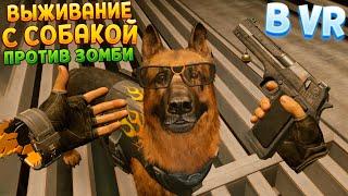 ВЫЖИВАНИЕ С СОБАКОЙ ПРОТИВ ЗОМБИ В ВР ( Arizona Sunshine 2 VR )