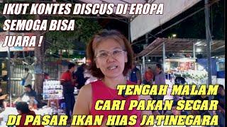 BERAWAL DARI IKAN PREDATOR LANJUT KE DISCUS! NONGKRONG BERSAMA VERA DI PASAR IKAN HIAS JATINEGARA