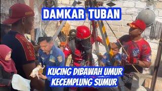 KEMBALI... KUCING KECEBUR SUMUR.. EVAKUASI Oleh DAMKAR TUBAN pada Satpol PP & Damkar Kab. Tuban