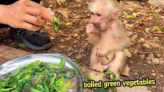 Single girl boils vegetables to help malnourished poor baby monkey gain weight