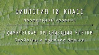 Биология 10 кл Проф уровень $8 Свойства и функции белков