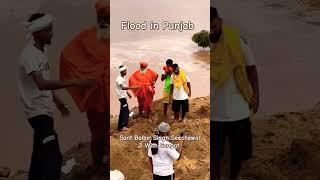 Flood in Punjab Sant Balbir Singh Seechewal With Sadh Sangat#trending#shorts#viralvideo #shortvideo