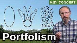 Introduction to Portfolism