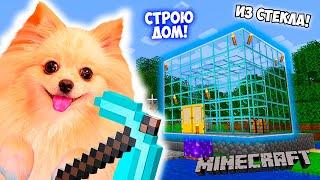 ПОСТРОИЛА СВОЙ МАЛЕНЬКИЙ ДОМИК из СТЕКЛА ! MINECRAFT