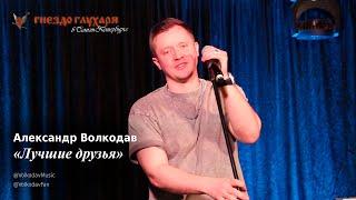 Александр Волкодав - Лучшие друзья (СПб, 10.02.2024) #гнездоглухаряспб #питер #голос #voice