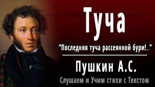 А.С. Пушкин "ТУЧА" (Последняя туча рассеянной бури...) - Слушать и Учить аудио стихи